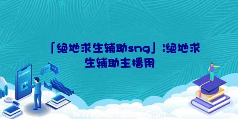 「绝地求生辅助sng」|绝地求生辅助主播用